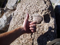 USGS Marker on the Tooth